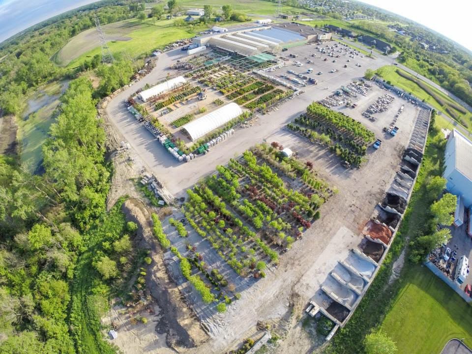 Best Garden/Nursery Store